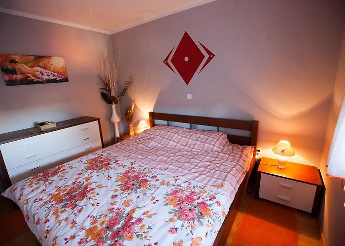 萨里奇公寓酒店 *